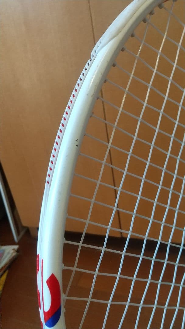 ラケット(硬式用) Tecnifibre T-fight300 G2