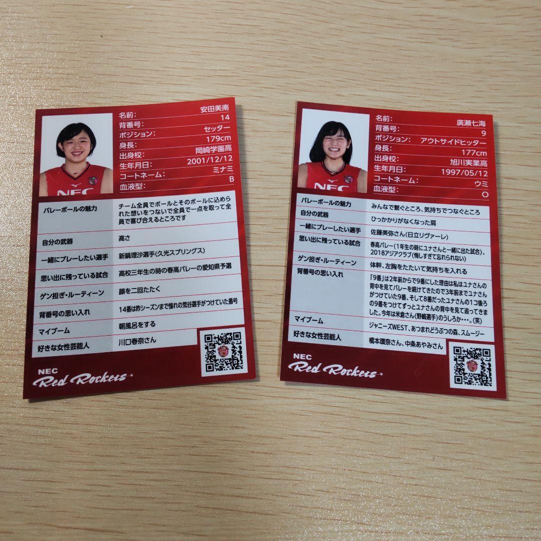 NEC Red Rockets バッグ セット