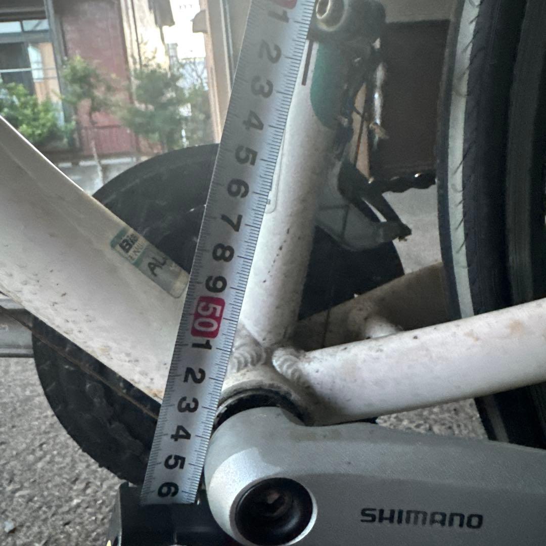 【まさや】Bianchi カメレオンテ 引き取り可能な方！愛知県岡崎市