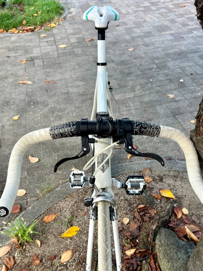 自転車本体 Bianchi Pista Dalmine