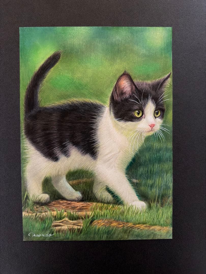 色鉛筆画A4小さな冒険仔猫
