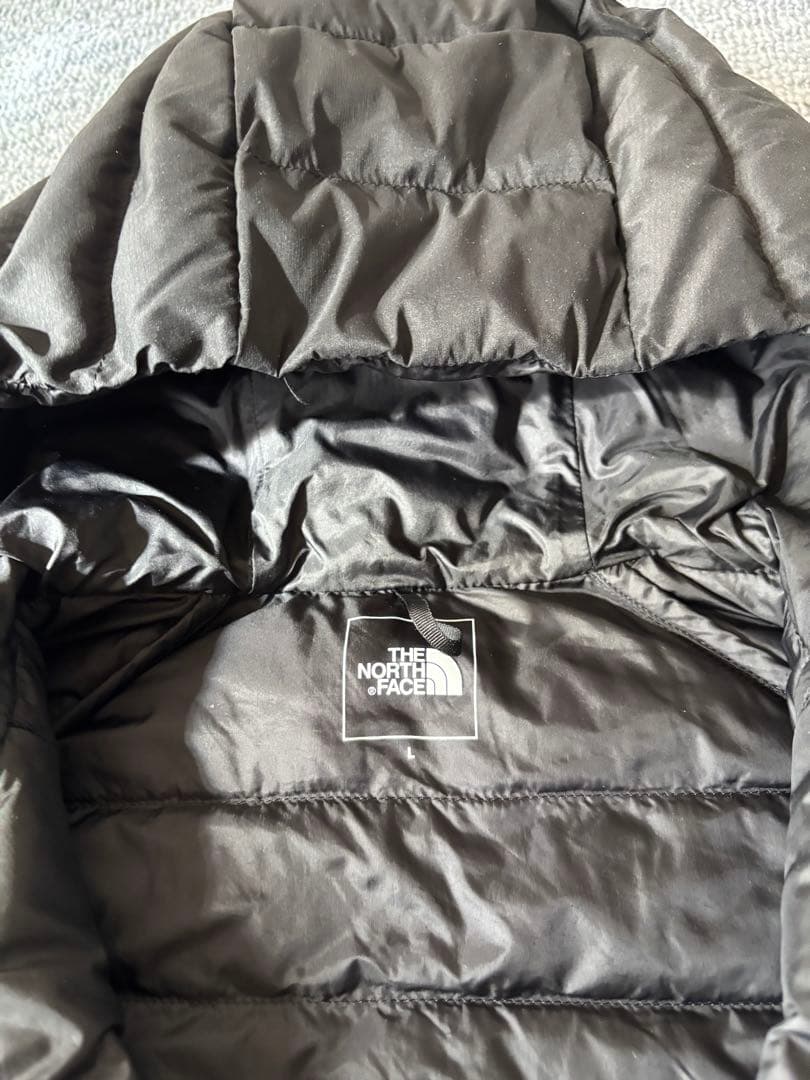 The North Face ブラック Red Run Pro Hoodie