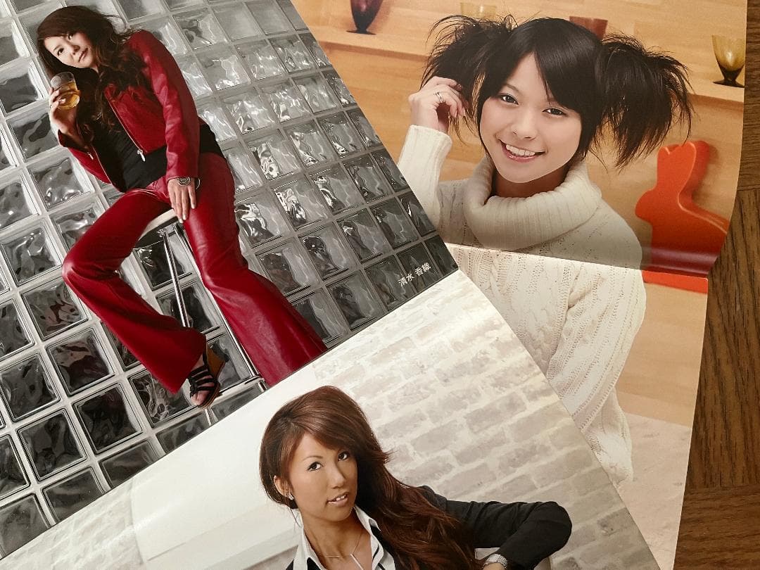 日本プロ麻雀連盟 2009 カレンダー Mリーグ 二階堂 和泉 宮内 ２冊