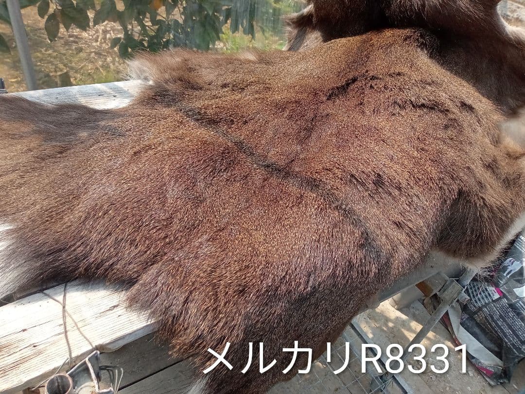 天然日本鹿の毛皮　ラグ