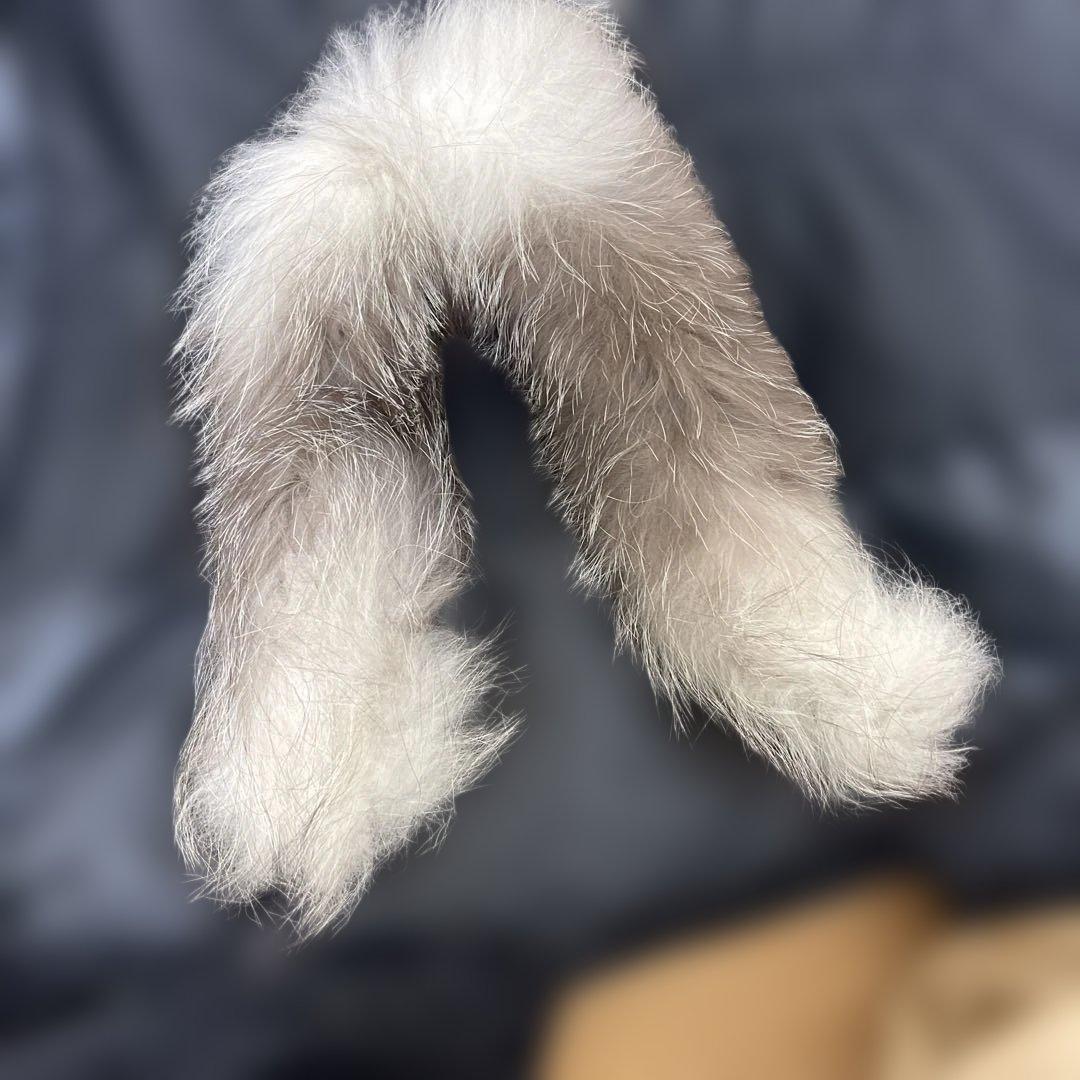 バウオ　bawo BLITZEN