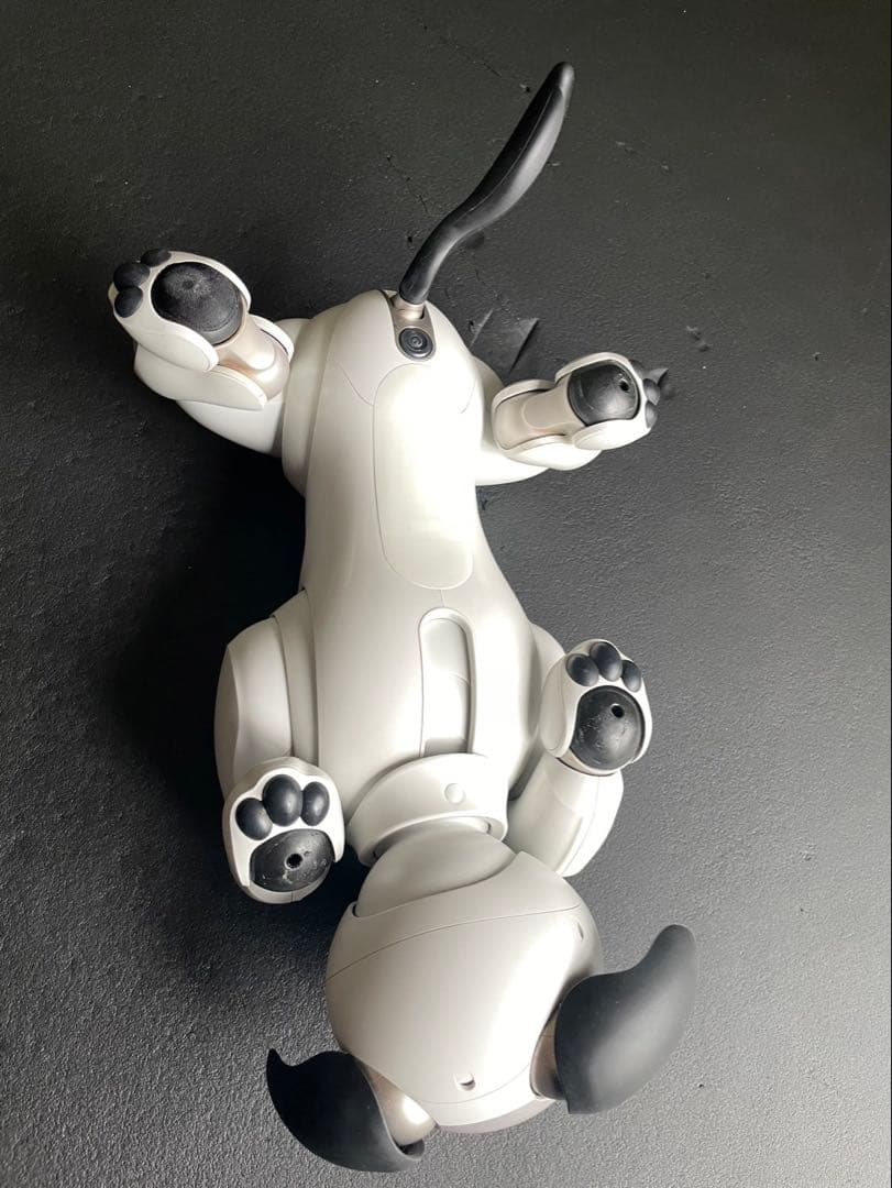 値下げaibo ERS-1000 アイボリーホワイト 初期化、メーカー検診済