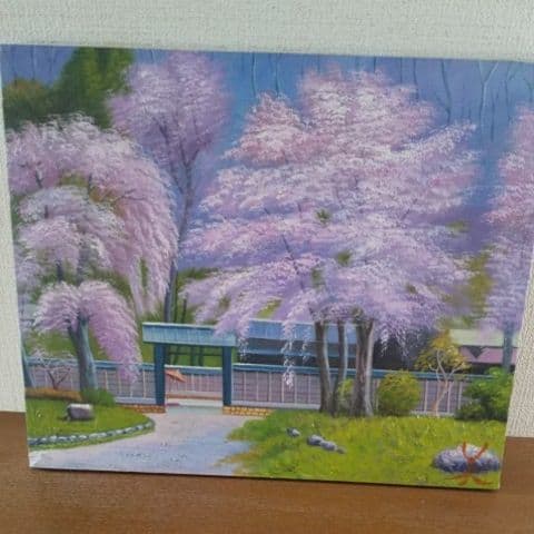 爛漫の桜 F8号 ( 肉筆画)