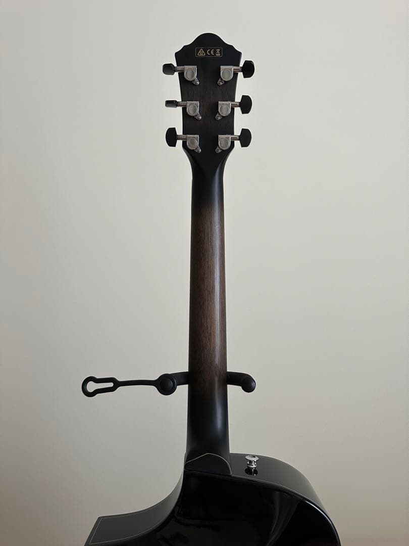 ギター Ibanez AEWC400-TKS