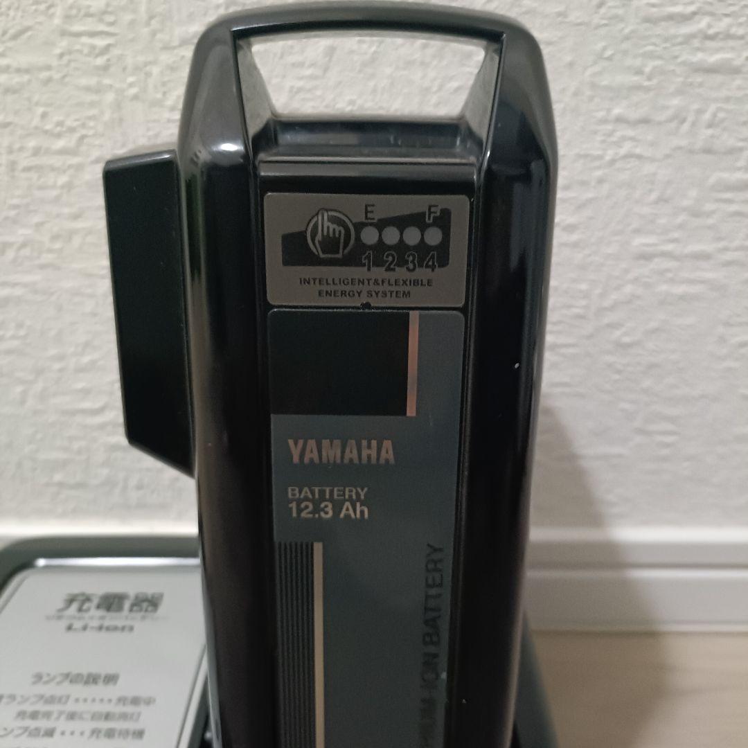YAMAHA PAS With 24インチ電動アシスト自転車オシャレな艶消し水色