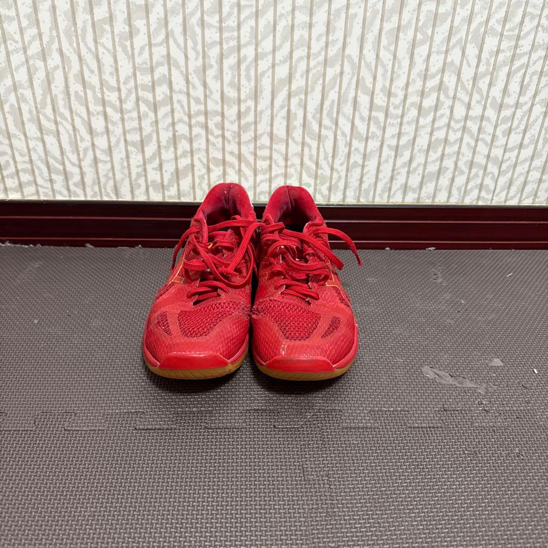 Mizuno バレーボールシューズ関田誠大選手モデル (おまけ付き)(26cm)