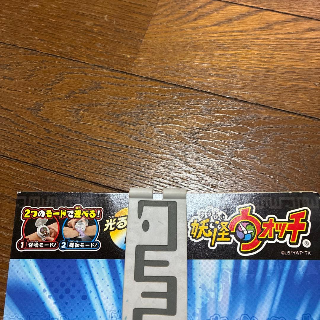 みどりねこ