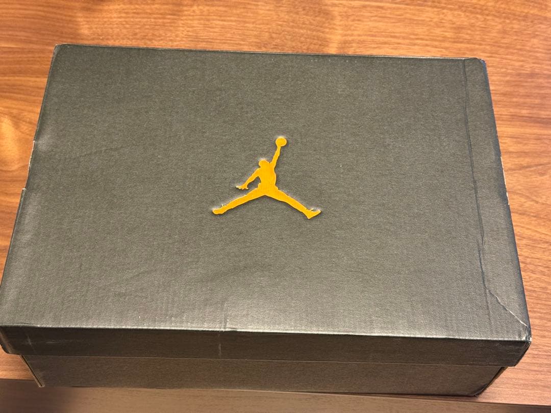 AIR Jordan 11 low エア ジョーダン 11ロー 10.5