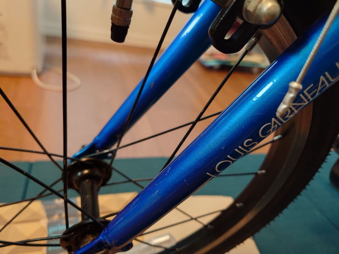 Louis Garneau(ルイガノ)18インチ_キッズバイク