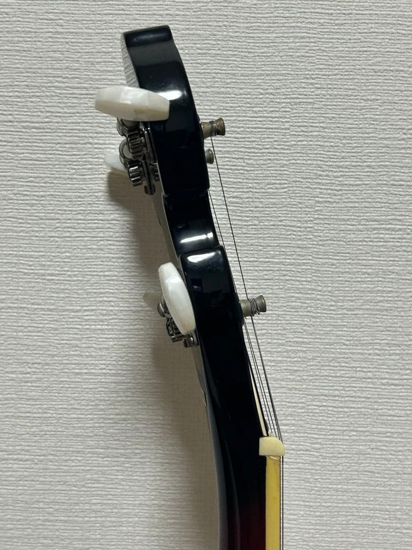 Aria 5弦バンジョー SB-100