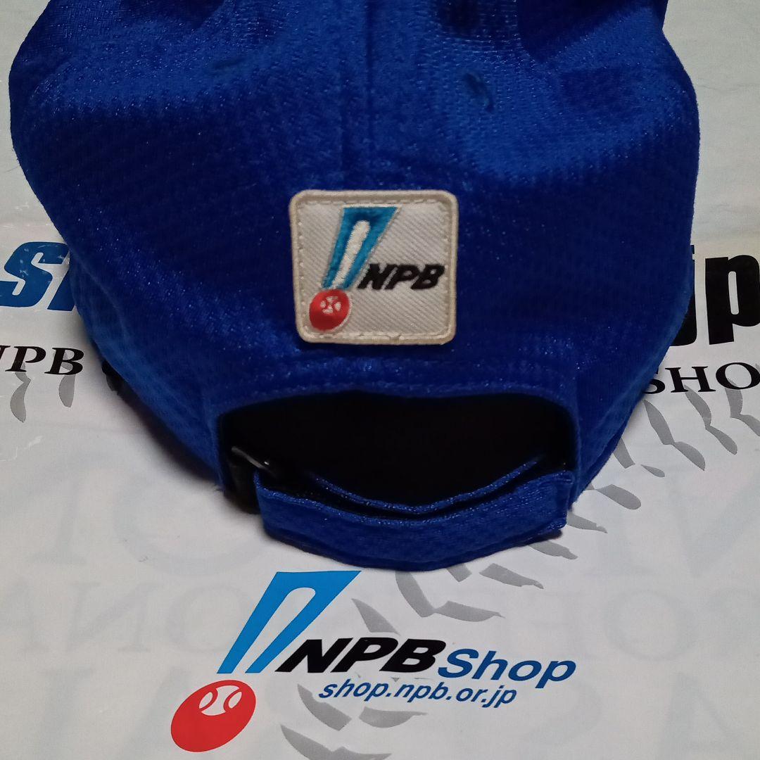 NPBプロ野球ホームランダービーキャップ