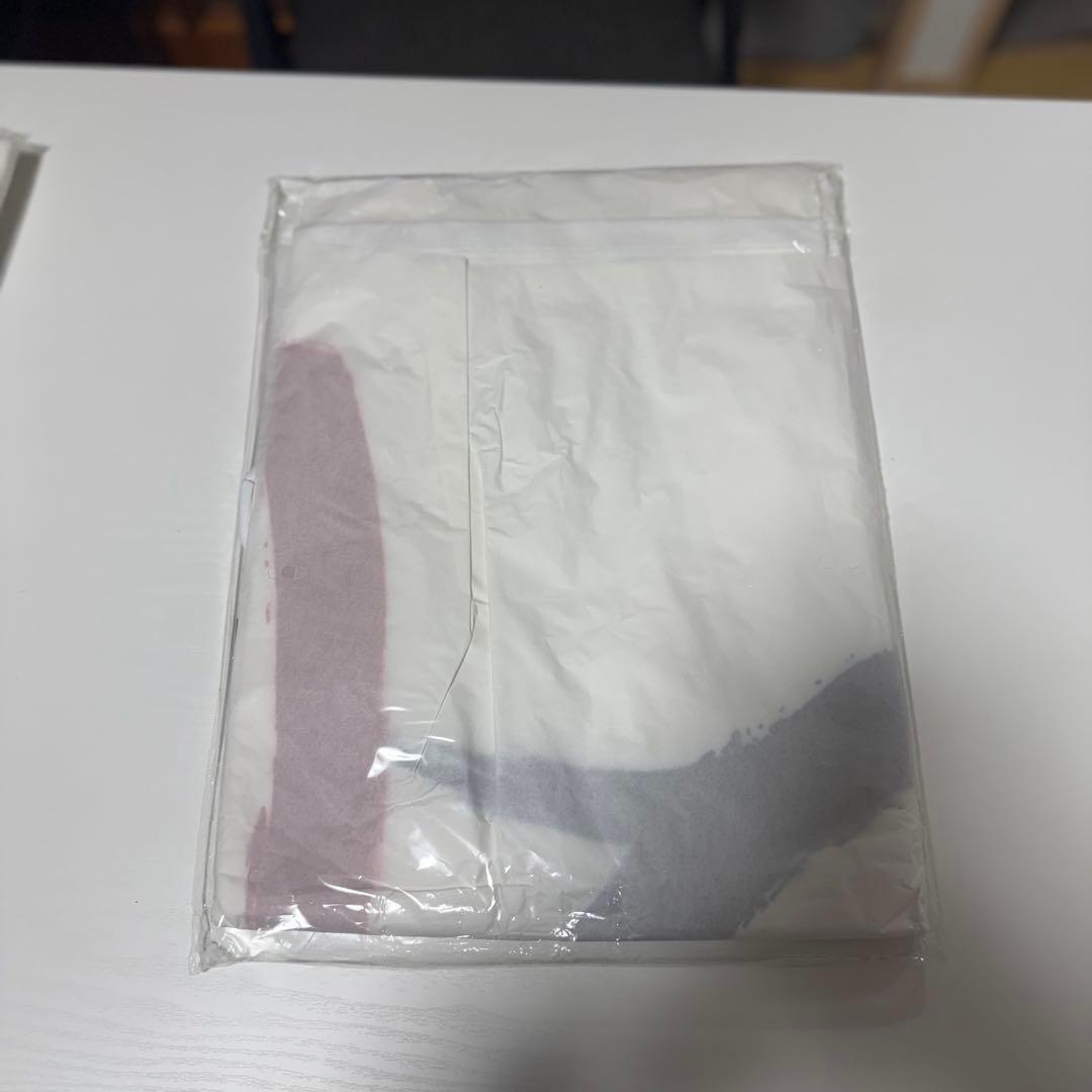 在庫セール新品未開封　正規品　PSGパリサンジェルマン　24/26　アウェイ　L
