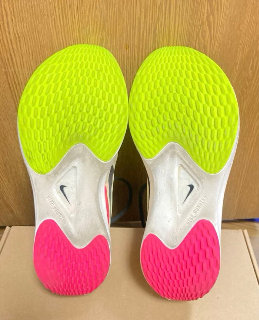 Nike ズーム フライ 5 プレミアム \"エキデン\" 【26,5】