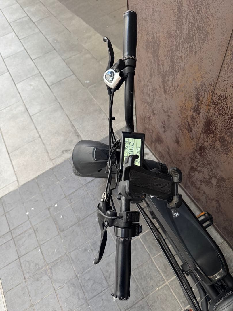 FLOW BIKE フローバイク 黒 919km前後 トルクセンサー対応車