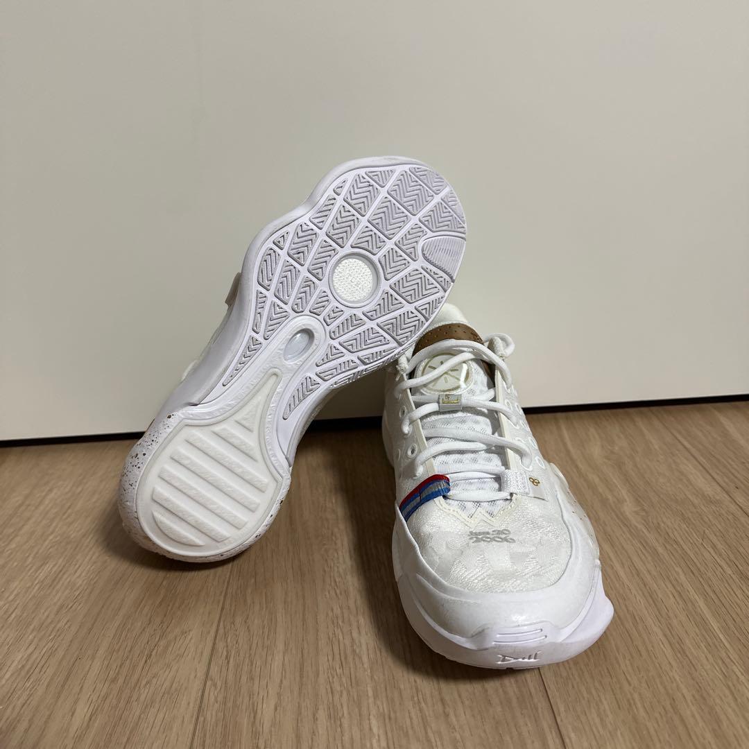 バスケットボールシューズ　Wade All City 13 「勝利の道」