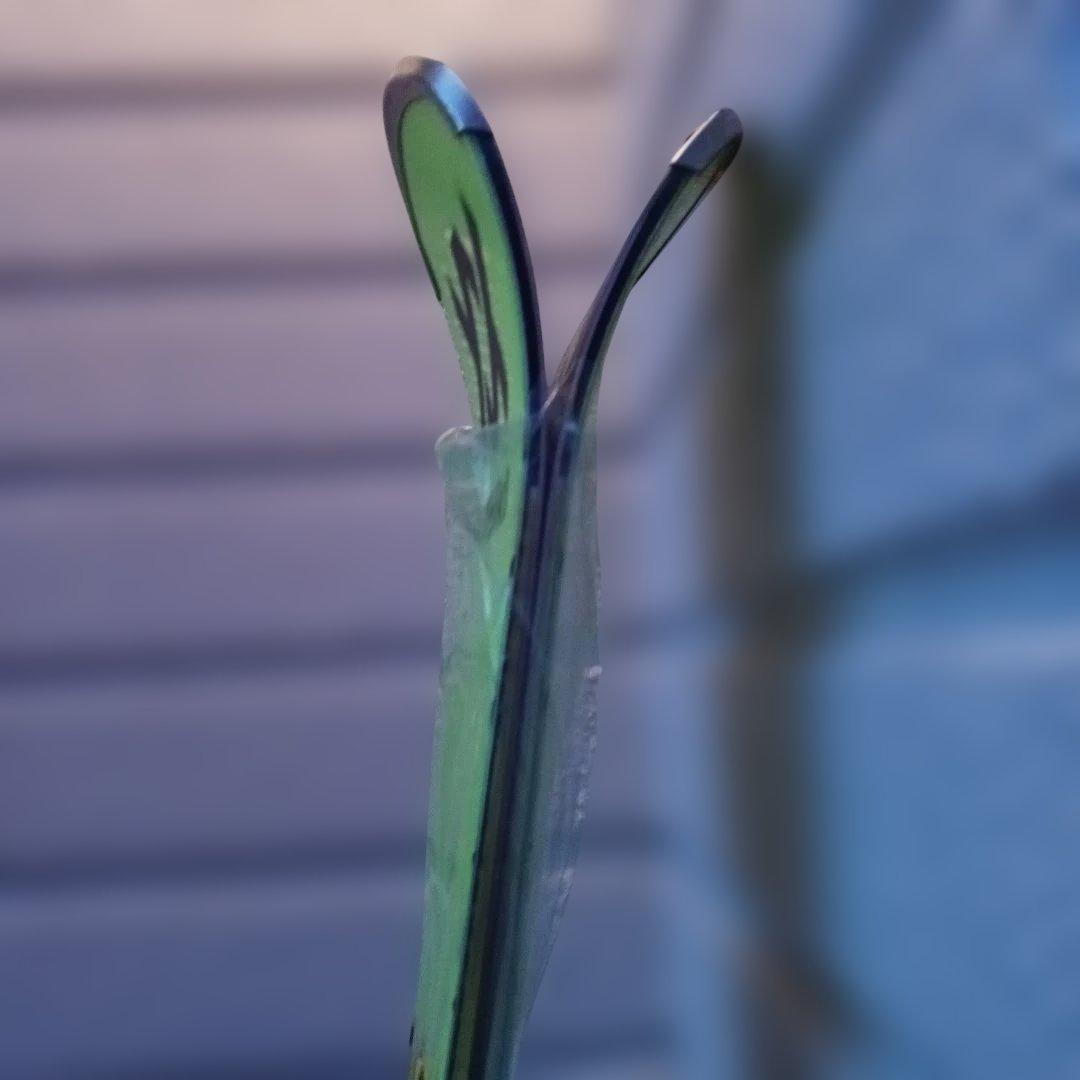 Völkl フォルクルレースタイガーSL170cm