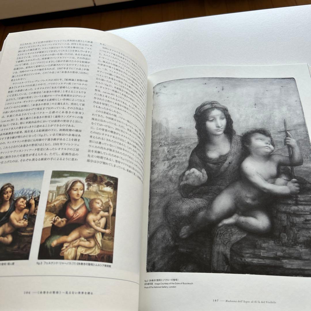 書 LEONARDO DA VINCI BEYOND THE VISIBLE
