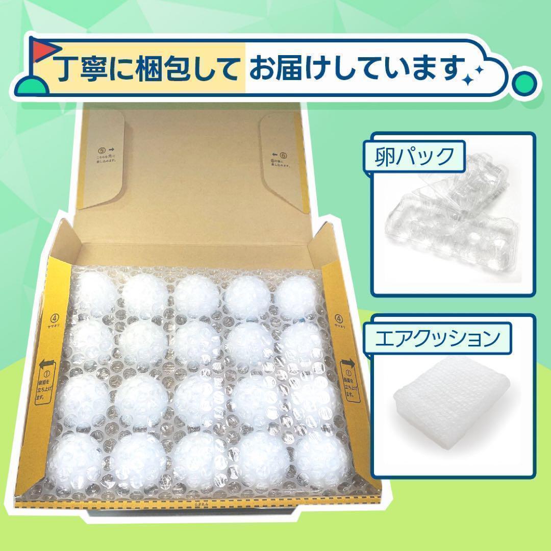 【2023年】PRO V1X Sランク 20球　627おまけtee付ロストボール