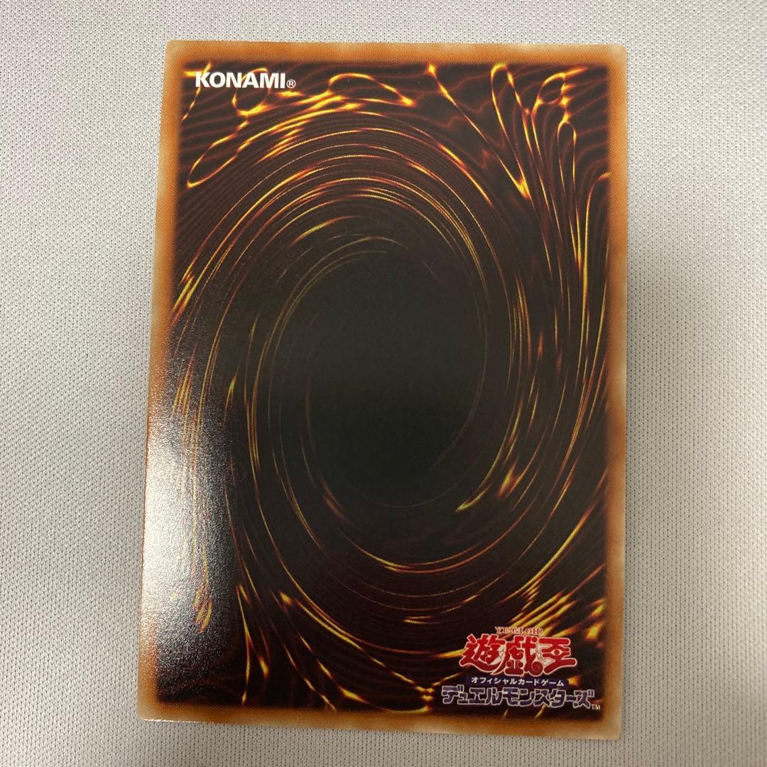 遊戯王 ナチュルパルキオン シークレット DTC