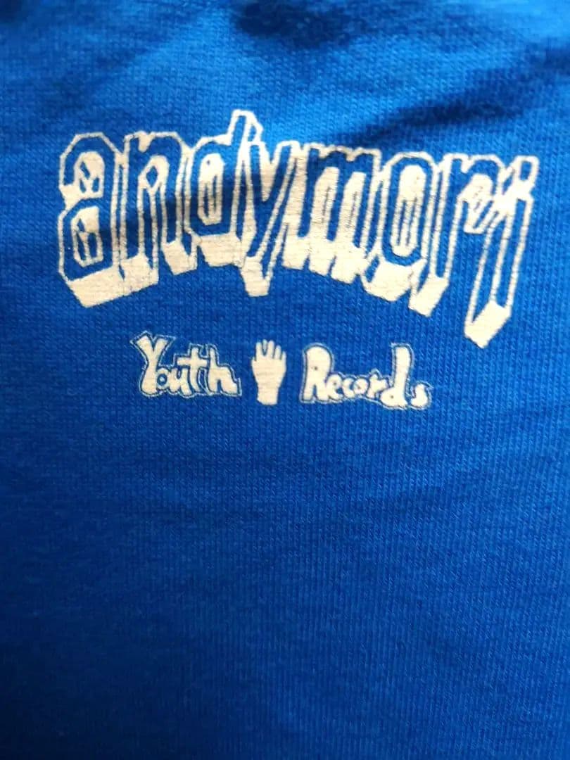 andymori　ラストライブ　Tシャツ　ユースレコーズ