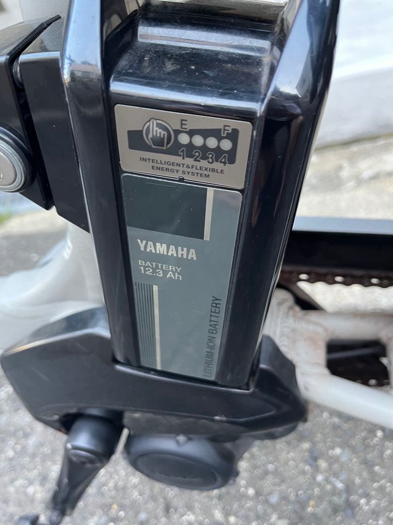 電動アシスト自転車