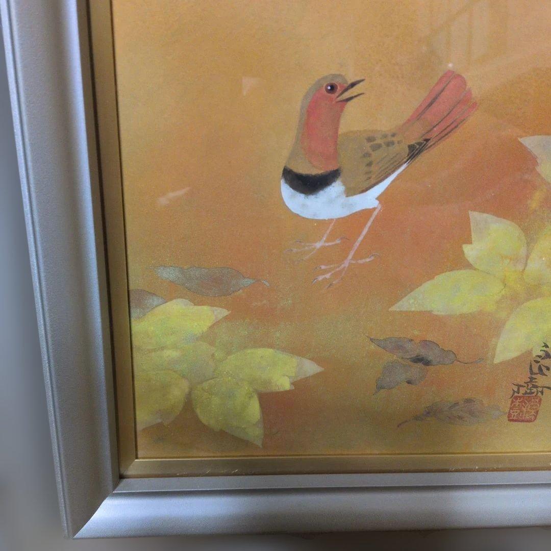 野々内良樹　駒鳥(コマドリ)