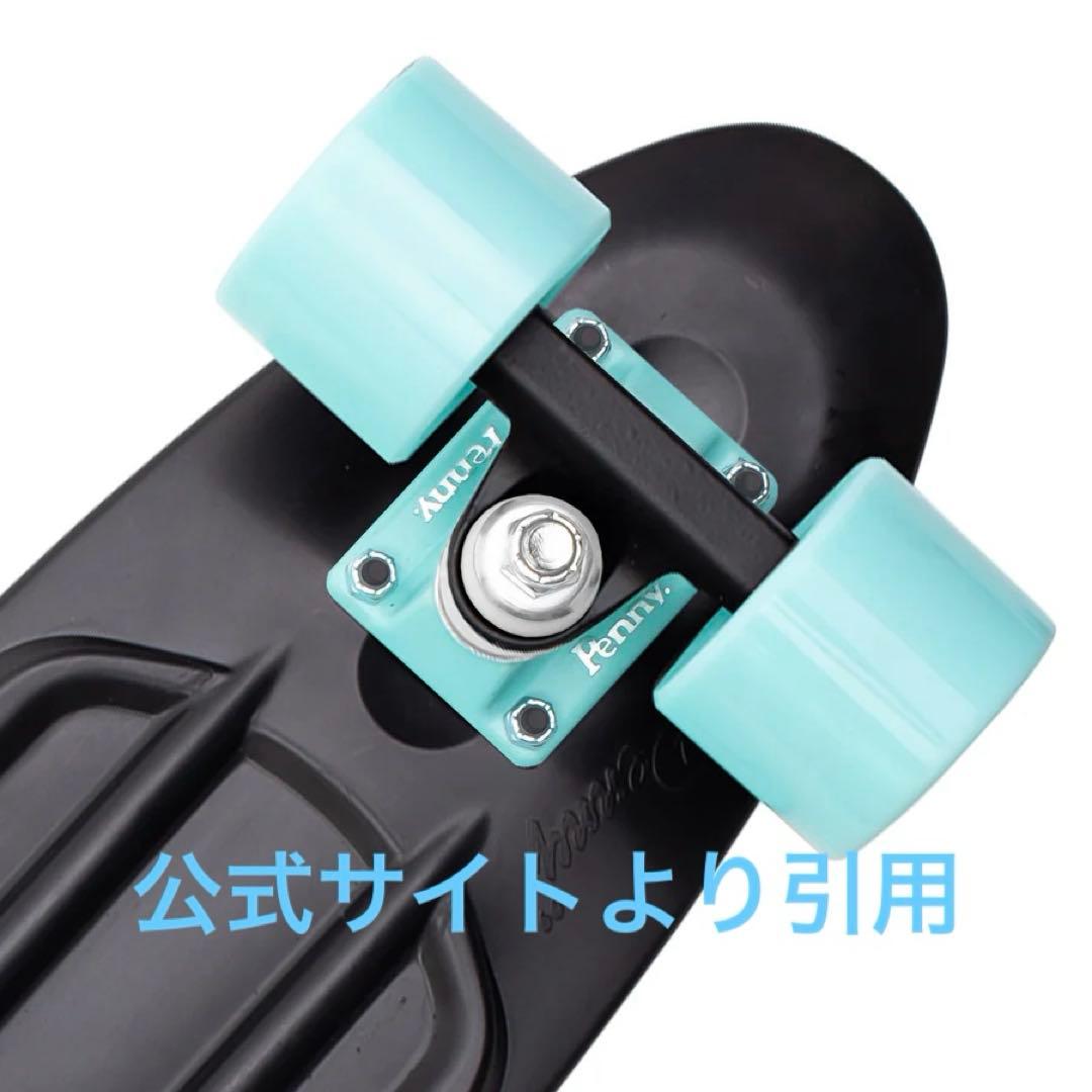 【美品】Penny クラシックス 22インチ BLACK ICE ペニーボード