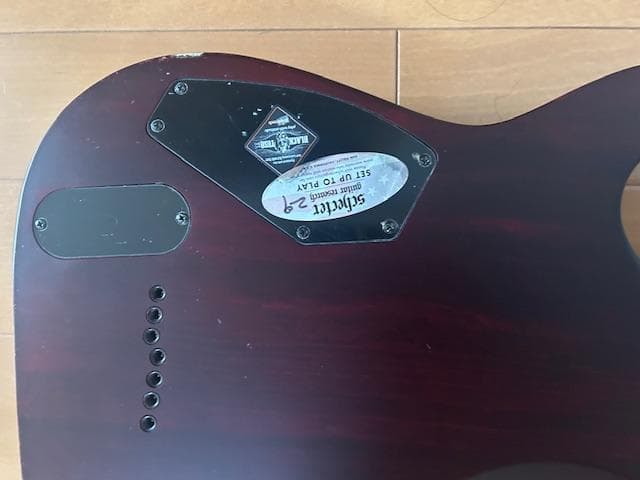 schecter jeff loomis 7弦ギター