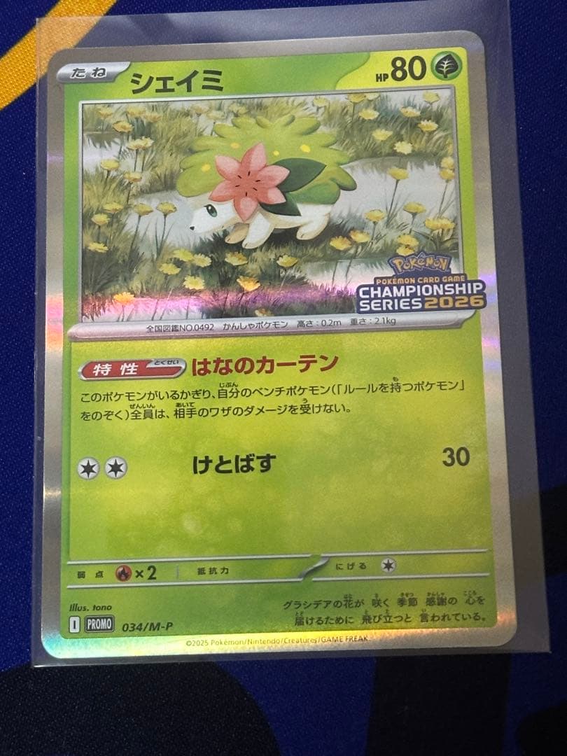 ポケモンカード　ロケット団のミュウツーex シェイミ　基本エネルギー　プロモ