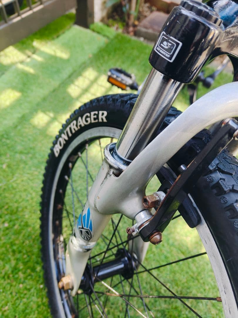 Trek ジュニアバイク 20インチ 青