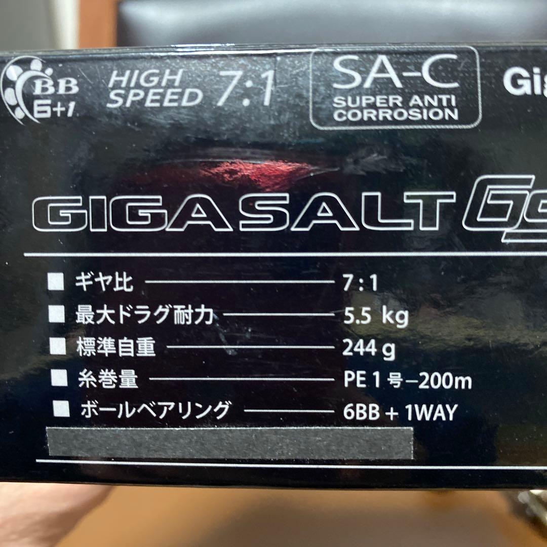 リアルメソッド　ギガソルトGS