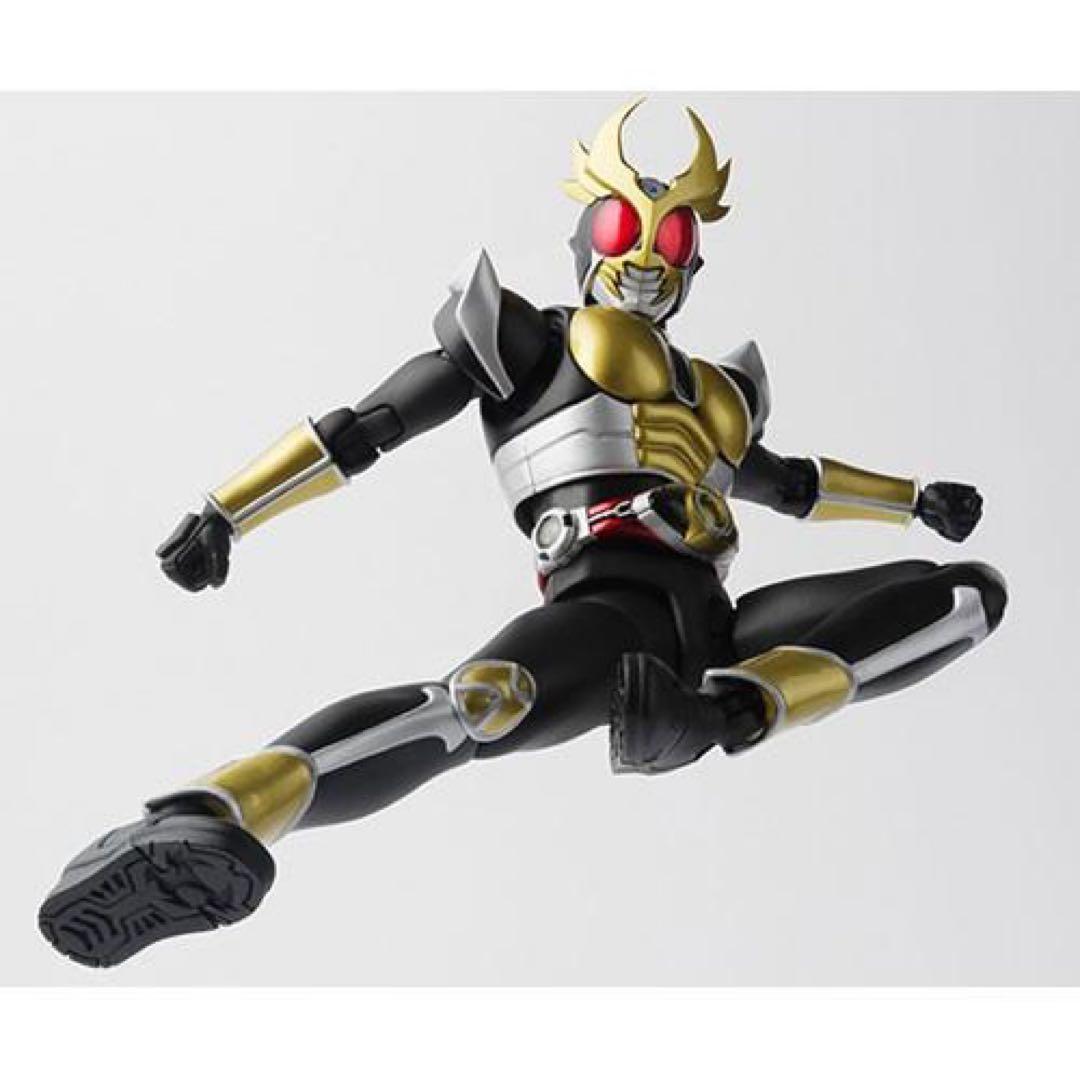 【説明必読】真骨頂 仮面ライダー アギト