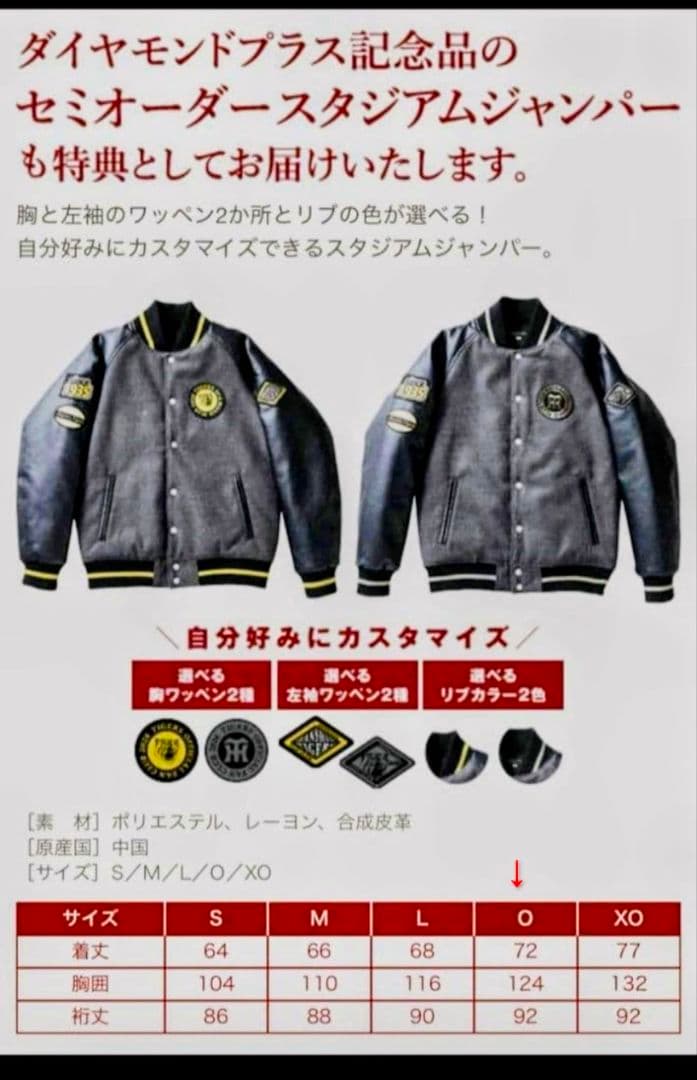 阪神タイガースFCダイヤモンドプラス特典　スタジアムジャンパー　サイズO