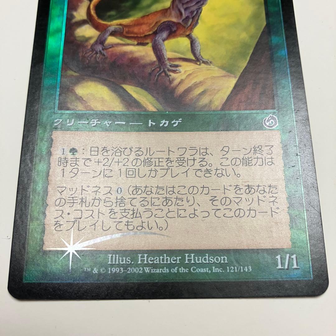 MTG 日を浴びるルートワラ 日本語版 foil 1枚 TOR版