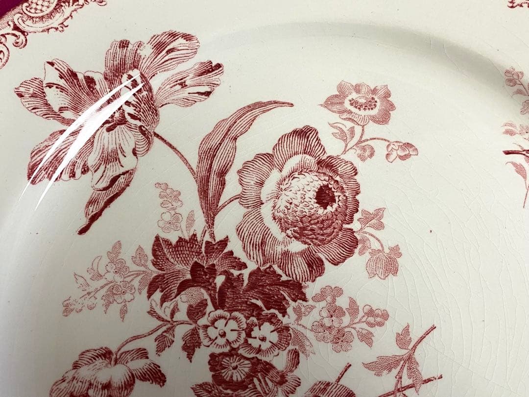 フランスSARREGUEMINES FONTANGES メインお皿