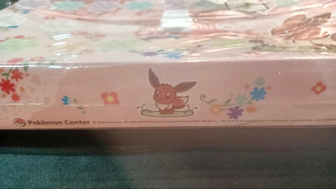 ポケモン 連れ歩きドキュメントケース レース