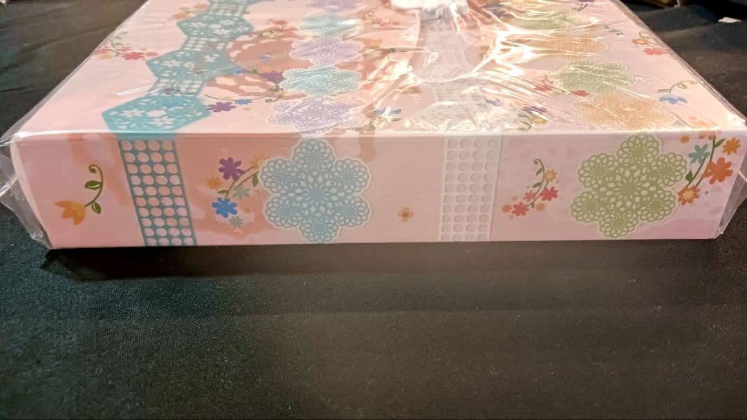 ポケモン 連れ歩きドキュメントケース レース