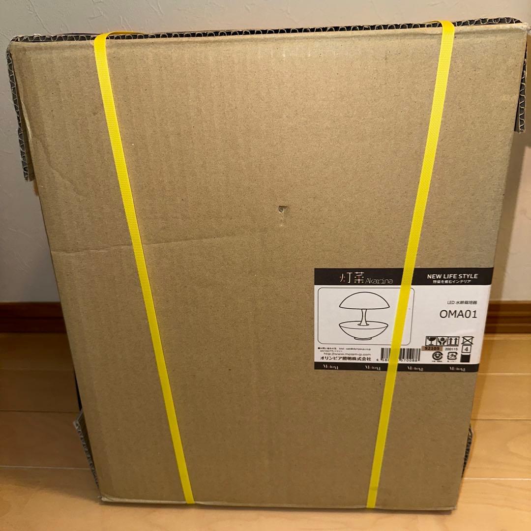 新品　オリンピア照明 OMA-01 灯菜 Akarina Terrara テララ