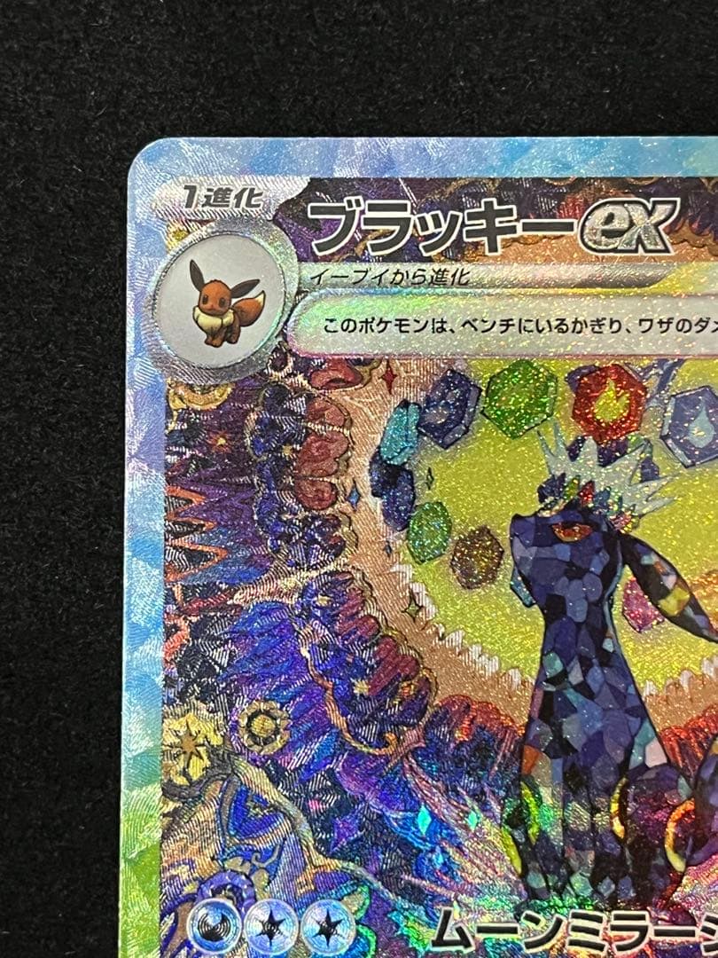 ブラッキーex SAR テラスタルフェスex