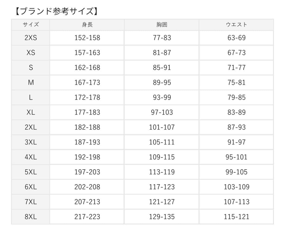 国内正規品【新品未使用】バイエルンミュンヘン 24/25 ユニフォーム サード