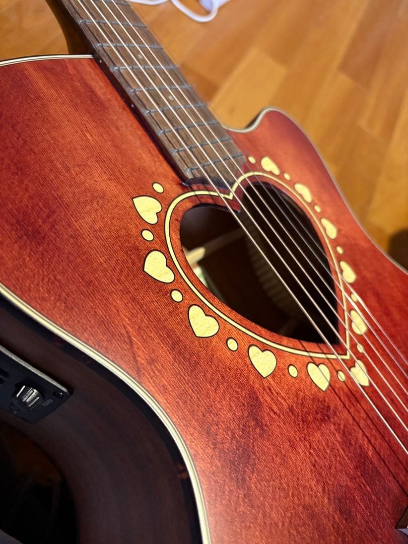 ギター　ゼマイティス　ZEMAITIS 新品未使用‼️ピック　ケース付き