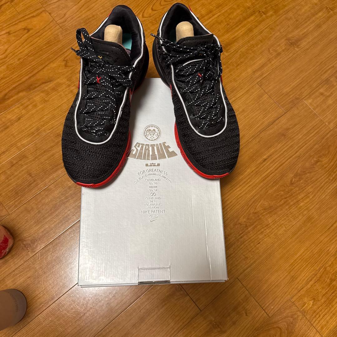 1週間セール[新品]Nike Lebron 20 XX