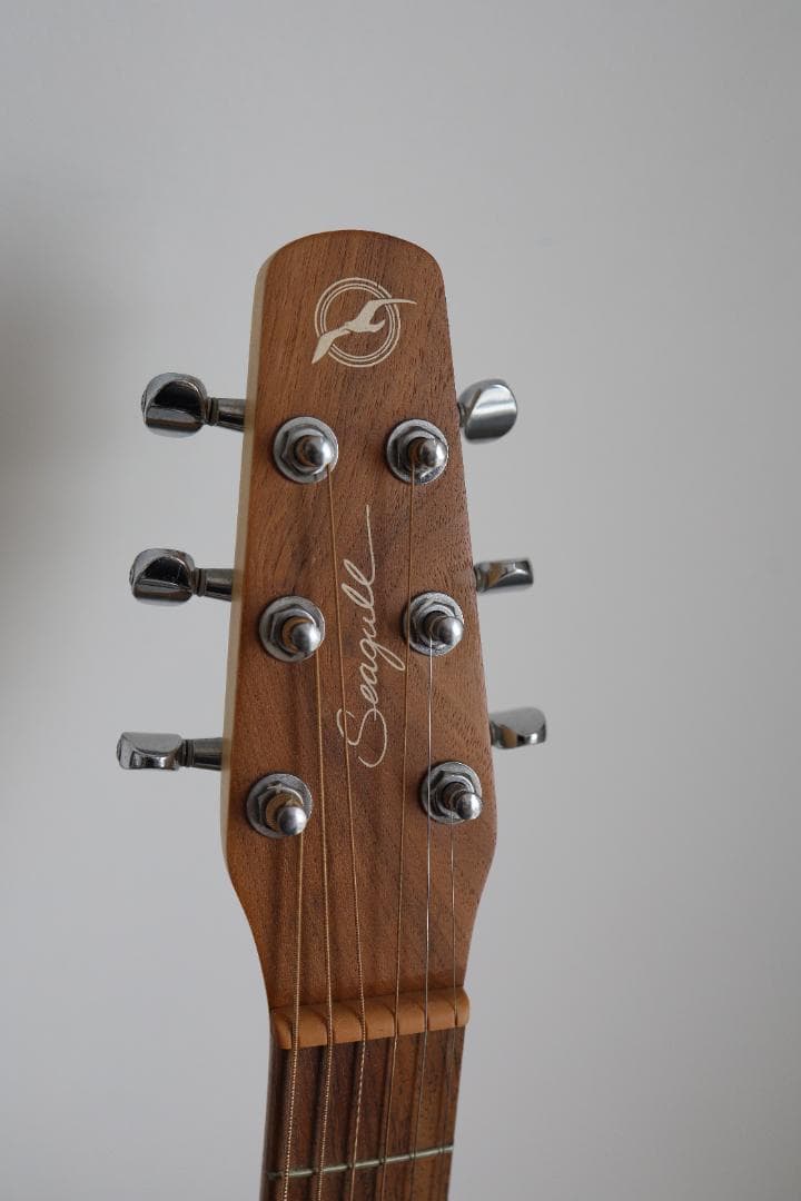 Seagull Excursion Walnut SG カナダ製　アコギ