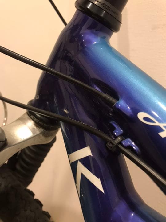 ＫＬＥＩＮ　Ａｄｅｐｔ　Ｒａｃｅ　Ｍ