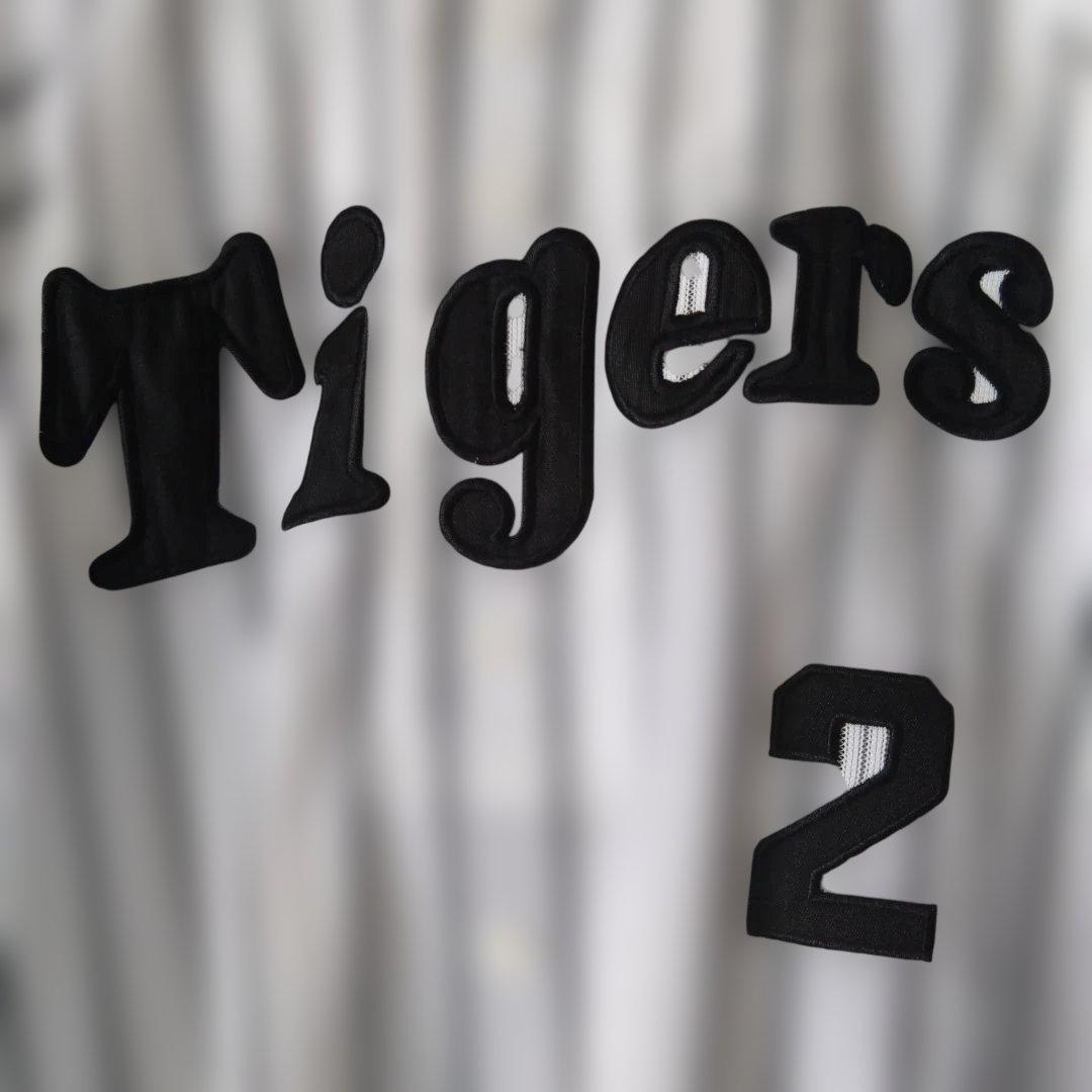ビンテージTigers阪神タイガースユニフォーム城島健司背番号2 M