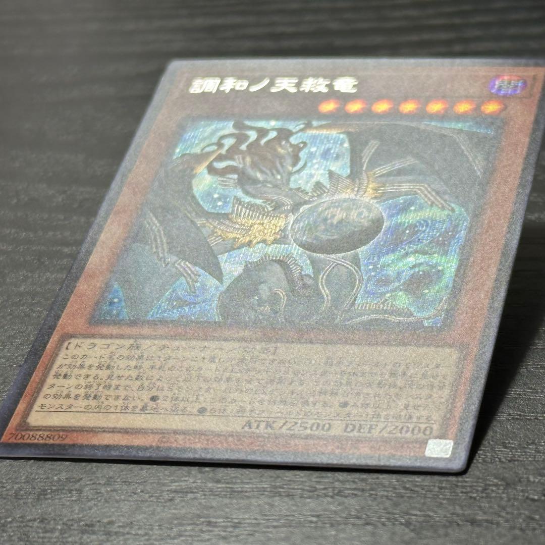 遊戯王 調和ノ天救竜 シークレット 日版